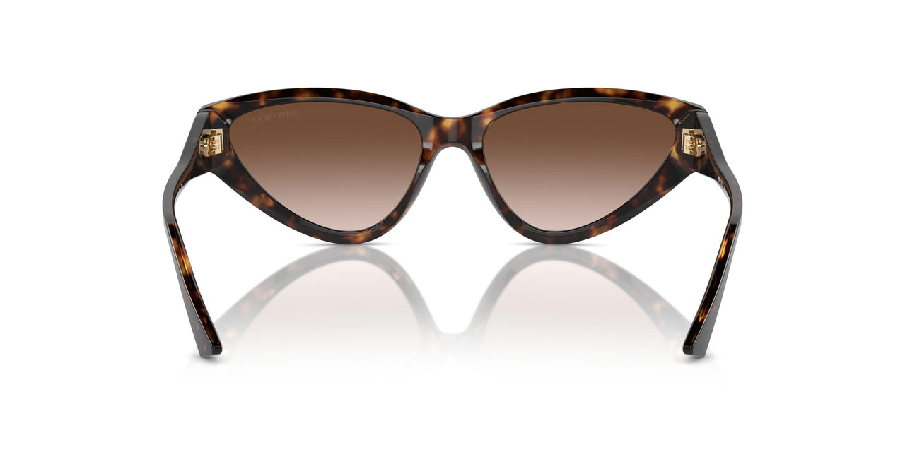 500213 - Tortoise - Gradient Brown