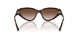 500213 - Tortoise - Gradient Brown