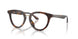 6124 - Tortoise