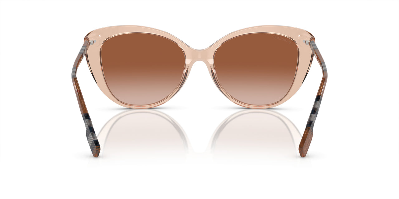 408813 - Pink - Brown Gradient