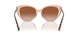 408813 - Pink - Brown Gradient