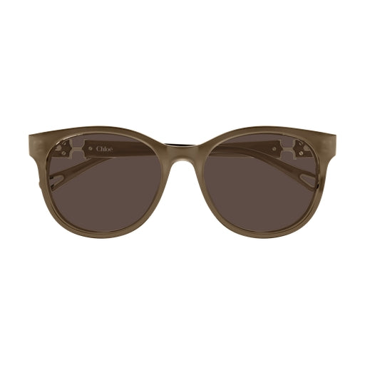 004 - Brown - Brown