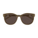 004 - Brown - Brown