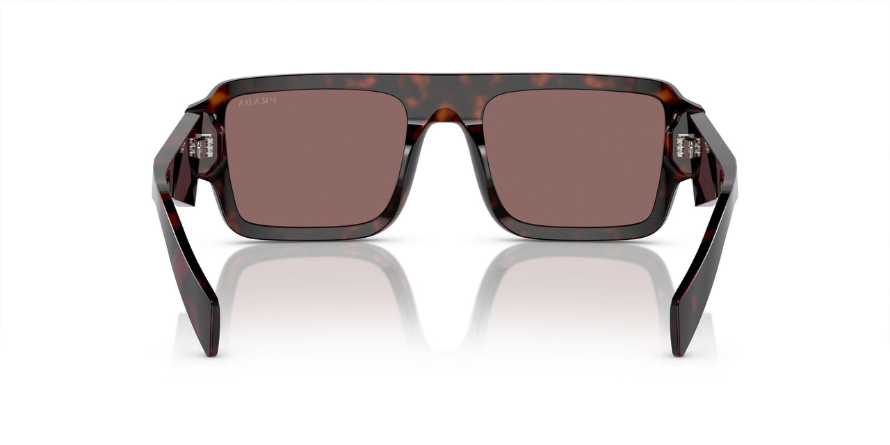 17N90B - Brown - Brown Mirror Internal Silver