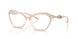 2034 - Brown