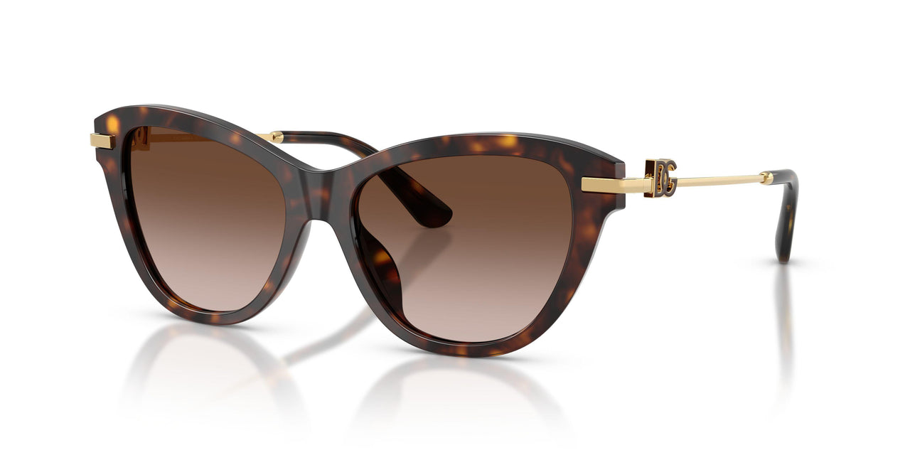 Dolce & Gabbana 4534 Sunglasses