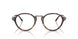 6403 - Tortoise
