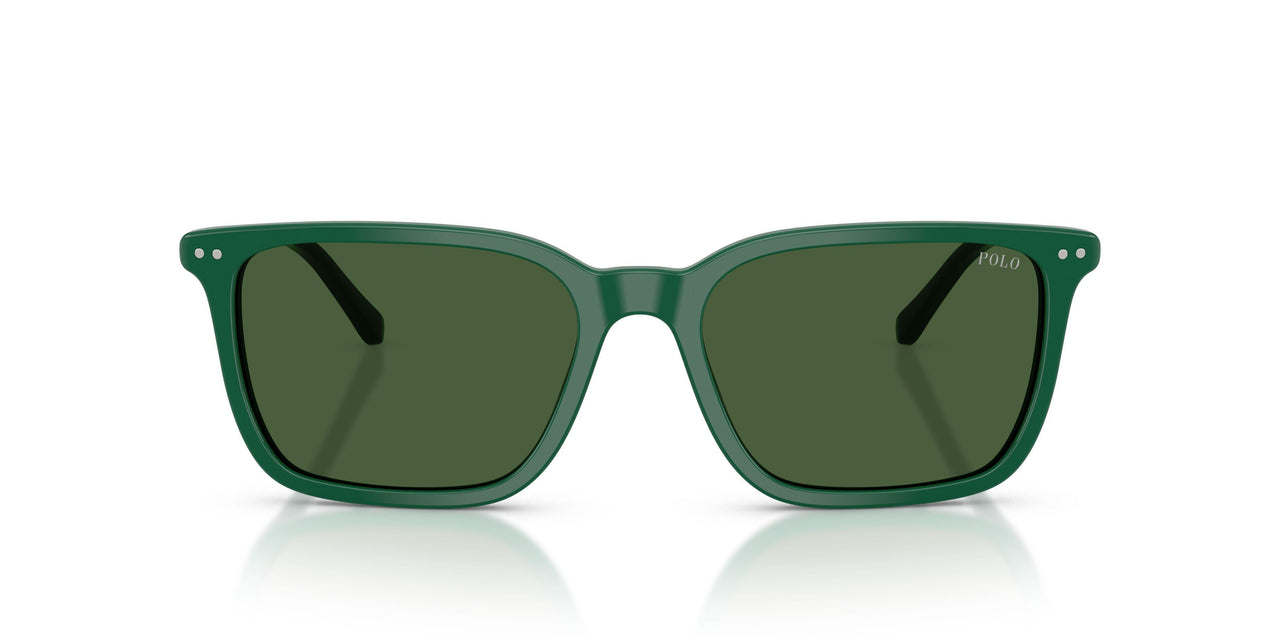 542171 - Green - Bottle Green