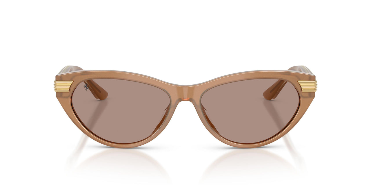 755/4Q - Brown - Brown