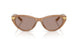 755/4Q - Brown - Brown