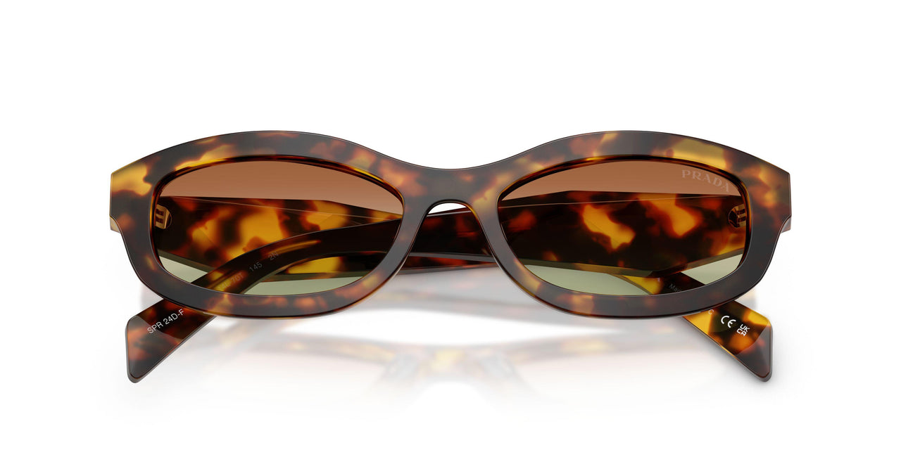 14L70T - Tortoise - Green/brown