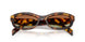 14L70T - Tortoise - Green/brown