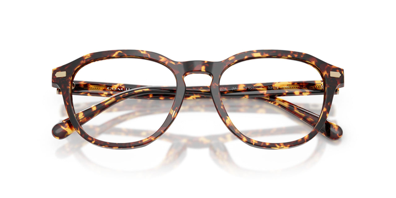 5974 - Tortoise