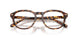 5974 - Tortoise