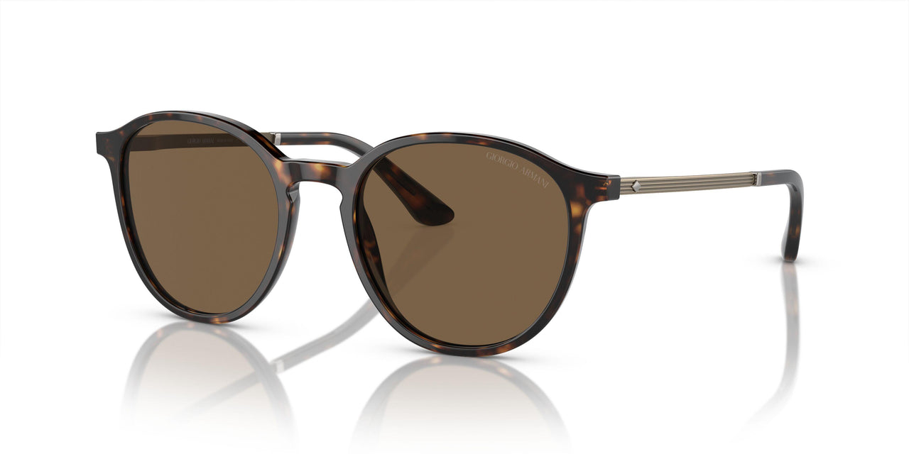 502673 - Tortoise - Dark Brown