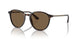 502673 - Tortoise - Dark Brown