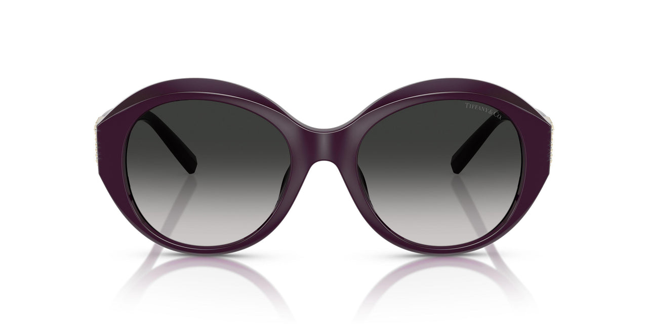 84273C - Black - Grey Gradient