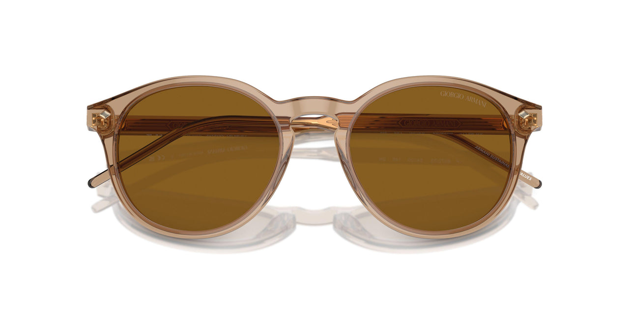 607233 - Brown - Brown