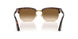 24/51 - Tortoise - Clear Gradient Brown