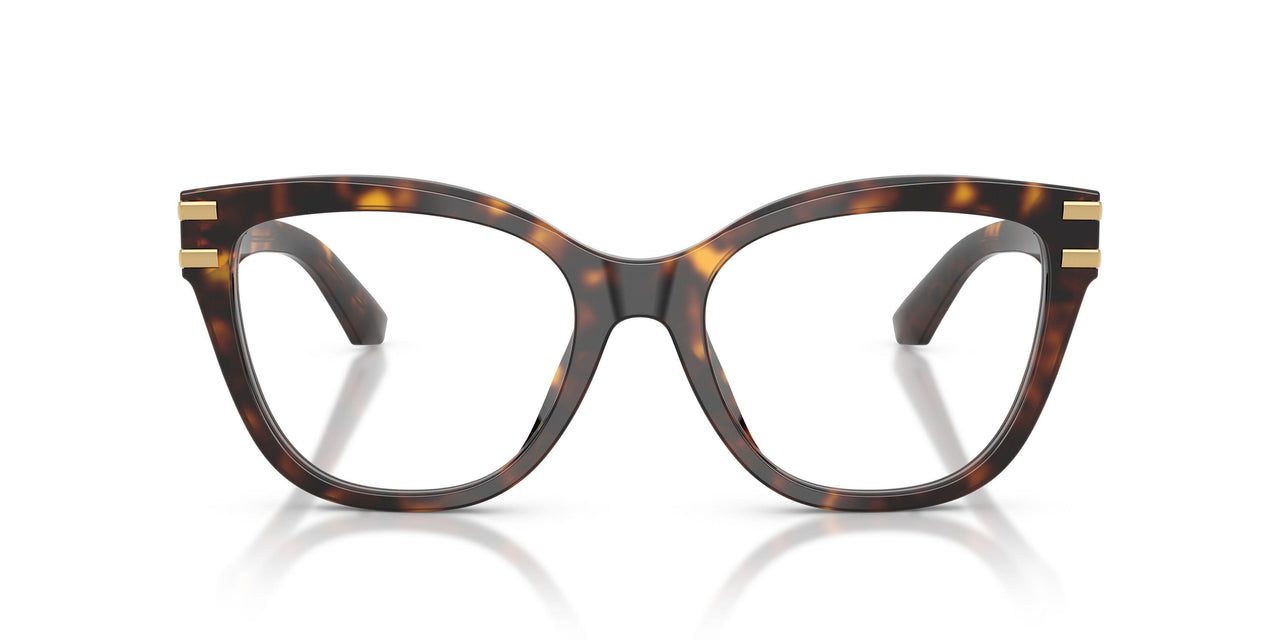 502 - Tortoise