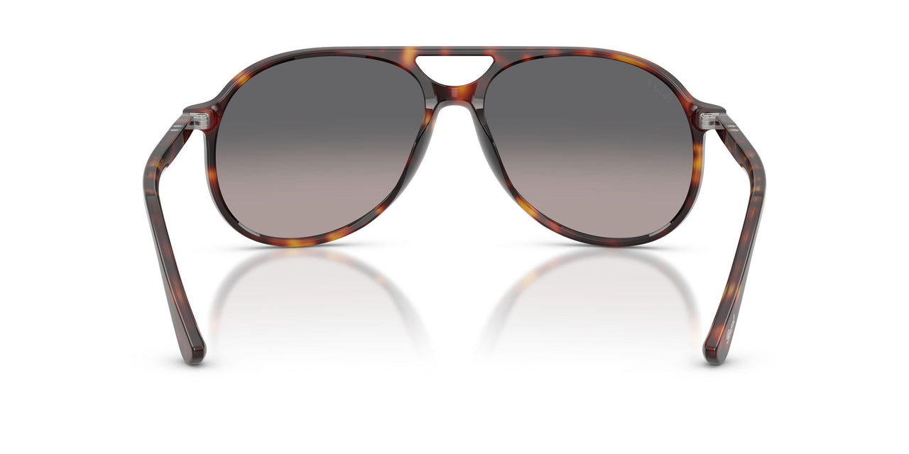 24/M3 - Tortoise - Gradient Grey Polarized
