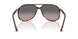 24/M3 - Tortoise - Gradient Grey Polarized