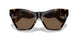 300273 - Brown - Dark Brown