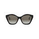 01F - Shiny Black - Gradient Brown