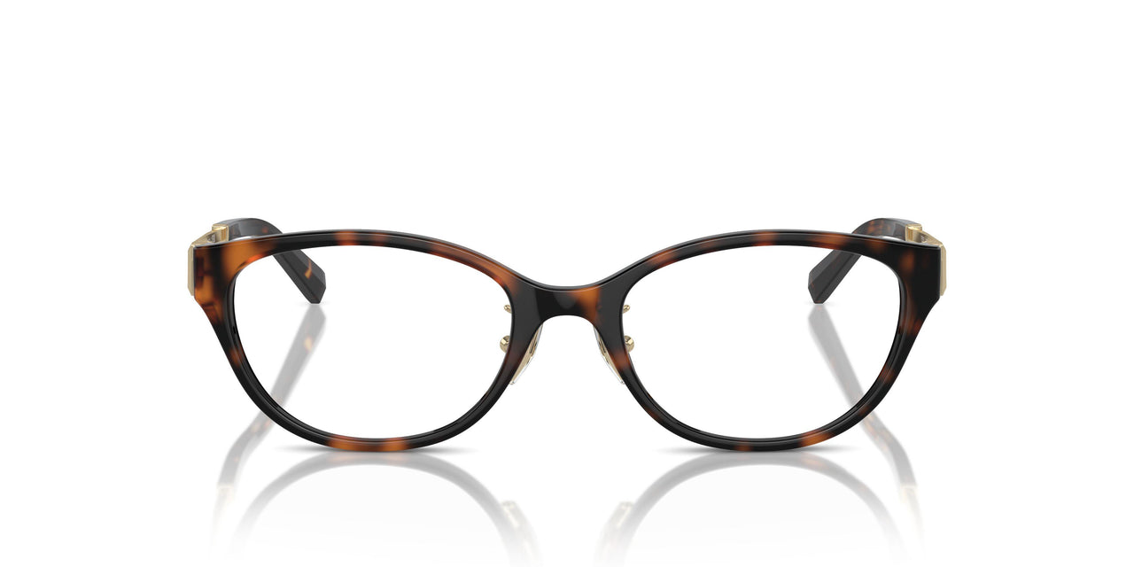 8015 - Tortoise