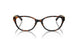 8015 - Tortoise