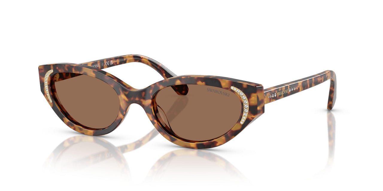 104073 - Tortoise - Dark Brown