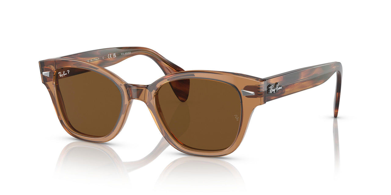 664057 - Brown - Brown Polar