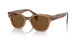 664057 - Brown - Brown Polar