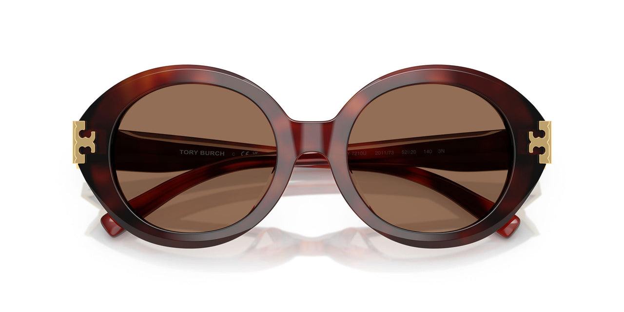 201173 - Tortoise - Dark Brown
