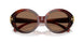 201173 - Tortoise - Dark Brown