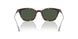 30389A - Brown - Dark Green
