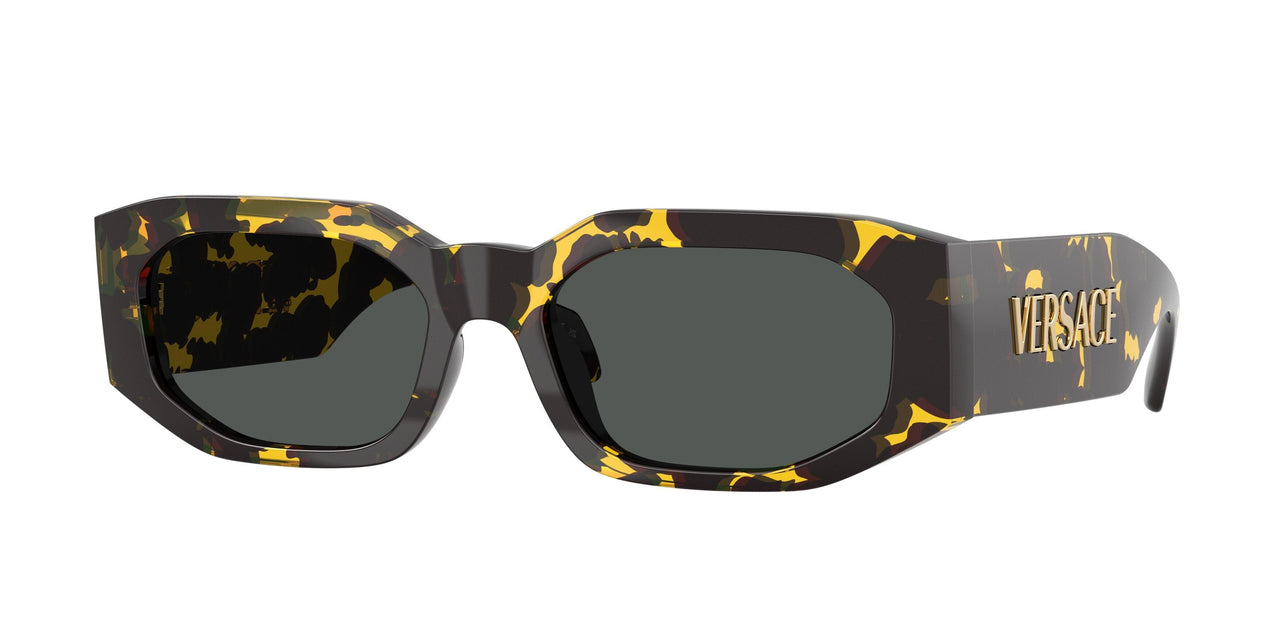 552887 - Tortoise - Dark Grey