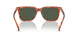577482 - Tortoise - Green