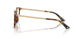 5110 - Tortoise