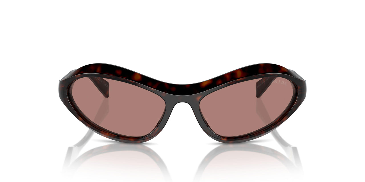 17N10D - Tortoise - Light Brown