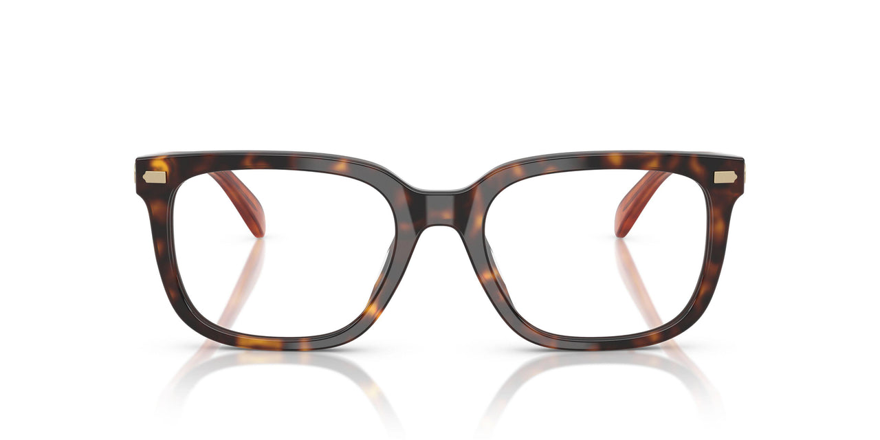5120 - Tortoise
