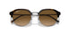 710/M2 - Tortoise - Brown