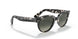 133371 - Havana - Grey Gradient Dark Grey