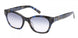 ABERCROMBIE & FITCH 00023 Sunglasses