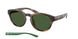 607071 - Tortoise - Bottle Green
