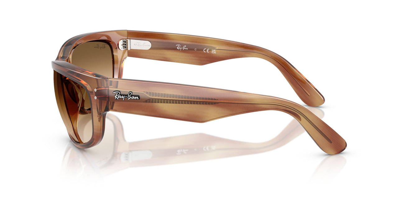 140351 - Tortoise - Clear Gradient Brown