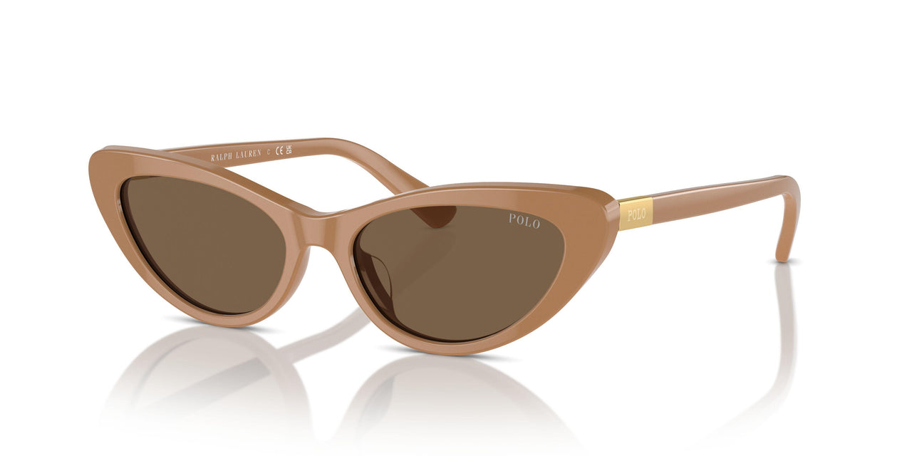 619673 - Brown - Dark Brown