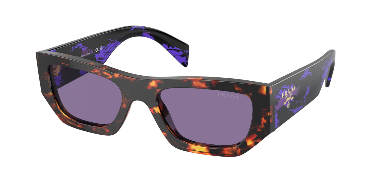 14O50B - Tortoise - Violet Mirror Internal Silver