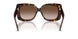 500213 - Tortoise - Gradient Brown