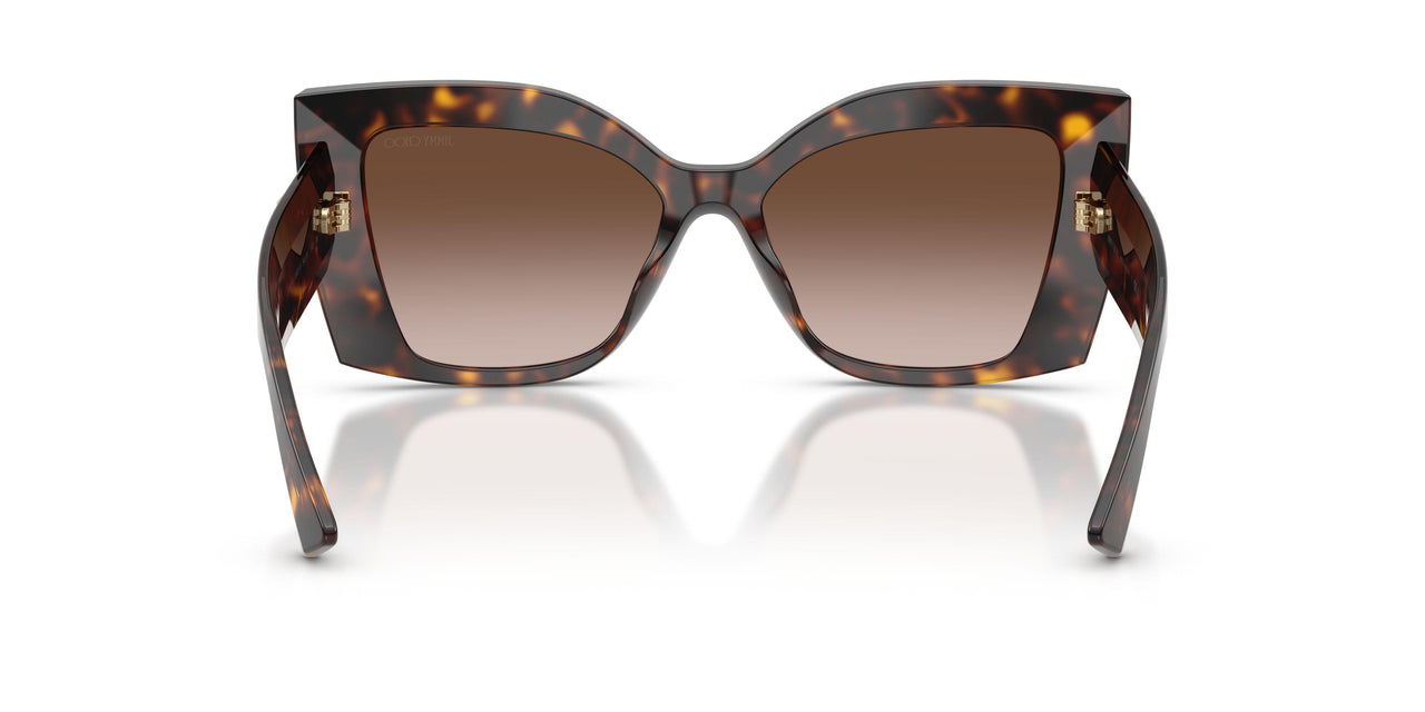 500213 - Tortoise - Brown Gradient